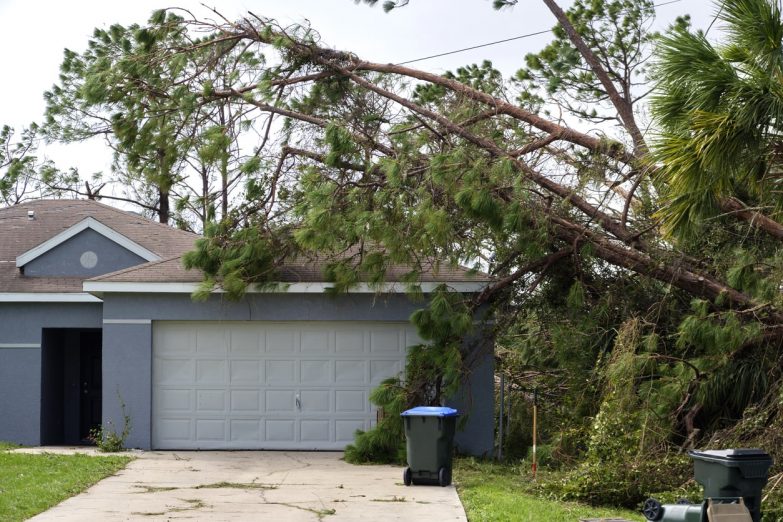 What Should I Do If My Tampa Home Has Been Damaged by a Storm?